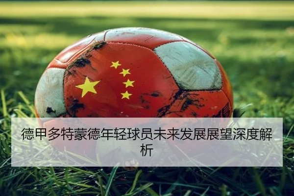 德甲多特蒙德年轻球员未来发展展望深度解析
